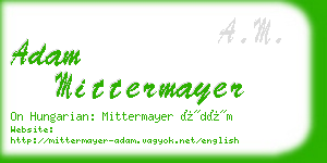 adam mittermayer business card